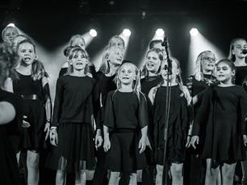 Sommerkoncert 2018 - Mariagerfjord Spirekor2